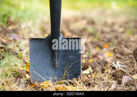 Une pelle robuste est plantée dans un sol meuble de jardin, avec de l'herbe, des feuilles et la lumière du soleil créant une scène extérieure naturelle. Idéal pour le jardinage, le creusement, l'aménagement paysager et les travaux de jardin. Banque D'Images