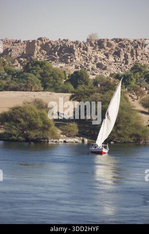 Felouque traditionnelle naviguant sur le Nil avec des berges vertes et colonie en haute Égypte Banque D'Images