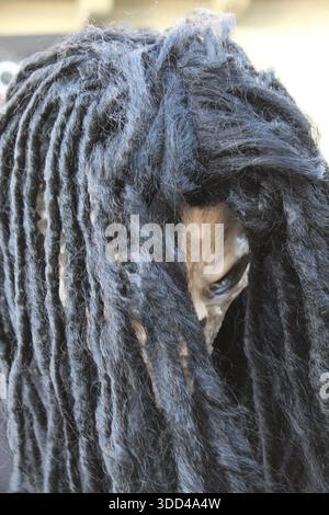 Costume de squelette avec masque dreadlock porté par une personne en robe sombre, représentant la mort Banque D'Images
