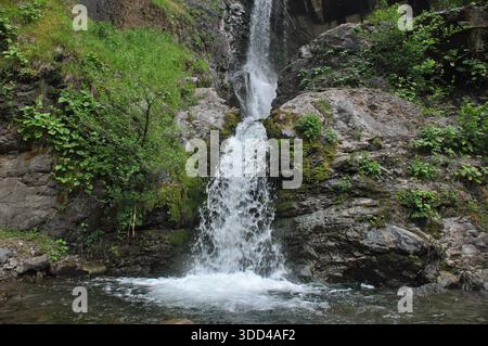 Une superbe cascade coule le long des falaises rocheuses, entourées de plantes et d'arbres verdoyants. L'eau claire jaillit dans une piscine tranquille en contrebas, creat Banque D'Images