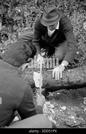 Années soixante, 31.07.1966, Allemagne, les gens, deux hommes de 33 à 36 et 55 à 60 ans ont vu un tronc d'arbre dans un jardin privé après un coup de foudre, arbre coupé, coupe forestière, chandail et chapeau, gilet et pantalon, Theo, Josef Banque D'Images