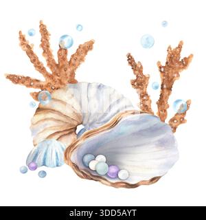 Une composition de coraux beiges, grande aquarelle nautilus Seashell, une moitié de coquille d'huître avec des perles colorées. Clipart du monde sous-marin. Dessiné à la main Ill Banque D'Images