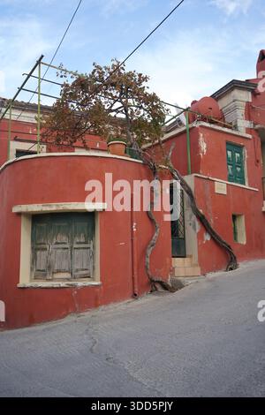 Maison traditionnelle rouge vibrante sur la rue Mandilara à Archanes, Crète. Comprend une épaisse vigne grimpant la façade et des volets en bois vert. Banque D'Images