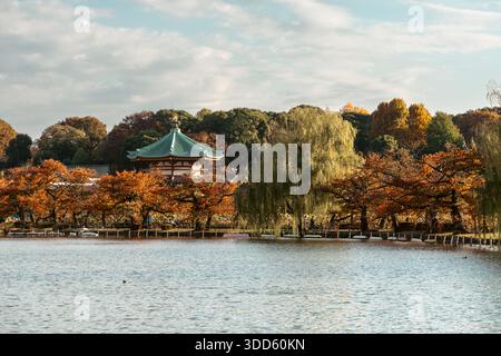 Vue de l'étang Shinobazu et du temple bouddhiste Shinobazu no Ike Bentendō, parc Ueno, Tokyo, Japon Banque D'Images