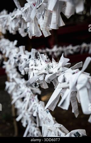 Omikuji des bandes de papier japonaises révélatrices de fortune suspendues au sanctuaire Nezu, Bunkyo City, Tokyo, Japon Banque D'Images