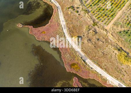 L'image d'un drone capture une route sinueuse bordant des marais salants vibrants avec des parcelles de végétation rouge et des terres agricoles géométriques. Les textures terreuses et les formes naturelles de l'eau créent un contraste saisissant dans la lumière du jour douce. Banque D'Images
