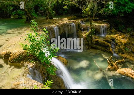 La lumière du soleil illumine une cascade de calcaire à plusieurs étages qui se jette dans une piscine turquoise claire aux chutes de Kuang si dans le nord du Laos. Un feuillage vert luxuriant et des roches moussues entourent l'eau tranquille dans ce paysage forestier tropical dynamique. Banque D'Images