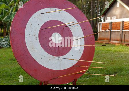 Cible Bullseye avec des flèches collées dans les anneaux extérieurs dans une aire d'entraînement de jardin Banque D'Images