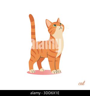 Un chat tabby orange curieux debout, la tête inclinée vers le haut, les yeux verts regardant vers le haut et la queue relevée haut dans un intérêt alerte. Illustration de Vecteur