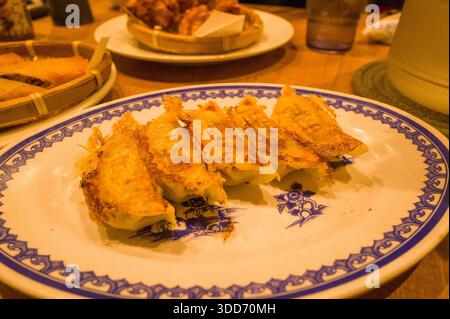 Des boulettes de gyoza dorées poêlées sont disposées en rangée sur une assiette en céramique bleue et blanche dans un confortable restaurant d'Osaka. Un éclairage ambiant chaleureux améliore la texture croustillante et la présentation invitante. Banque D'Images