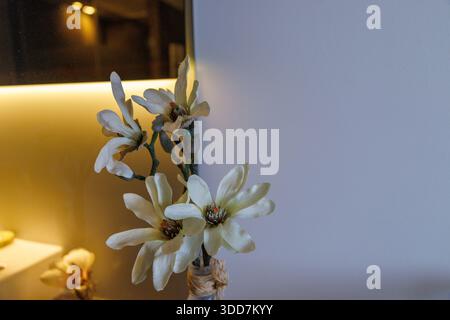 Un délicat arrangement de fleurs de magnolia dans un vase, baigné d'une lumière douce et chaude, créant une atmosphère sereine et élégante. Banque D'Images