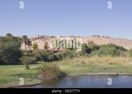 Rive verte du Nil avec collines rocheuses et végétation dans le sud de l'Egypte, paysage naturel le long de la vallée du Nil Banque D'Images
