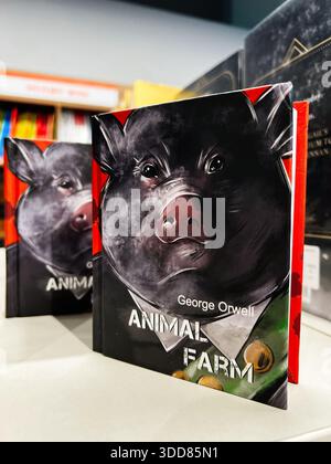 Londres, Royaume-Uni - 12 décembre 2025 : couverture de livre de animal Farm par George Orwell mettant en vedette un gros cochon exposé dans un magasin. Banque D'Images