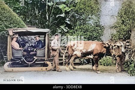 Illustration vintage d'après une photographie de touristes chevauchant en chariot à taureau traditionnel ou en traîneau, Funchal, Madère, années 1890, 19ème siècle Banque D'Images