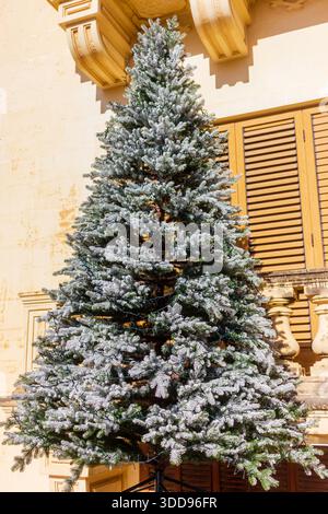 Sapin de Noël givré à l'extérieur contre un bâtiment en pierre classique avec des volets en bois Banque D'Images