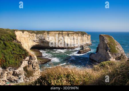 Shark fin Cove, une plage isolée au nord de Santa Cruz, Californie. Road trip de Los Angeles à San Francisco. Voyage aux États-Unis. Photo de haute qualité. Banque D'Images