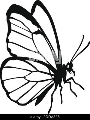 Un papillon délicat avec des ailes détaillées rendues en lignes noires et blanches. Illustration de Vecteur