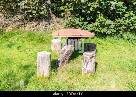 Table et chaises rustiques authentiques fabriquées à partir de souches d'arbres trouvées dans la forêt. Banque D'Images