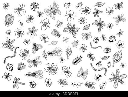 Insectes set vecteur dessin à la main illustration de contour isolé sur blanc. Vecteur papillon, abeille, dragon, sauterelle, cafard, coléoptère. Illustration de Vecteur