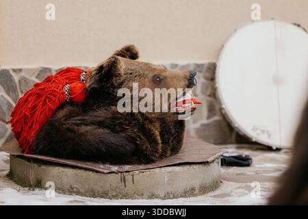 Bear Dance tradition in Comanesti, Bacau, Roumanie Comanesti, Bacau, décembre 30, 2025 : les participants vêtus de costumes d'ours exécutent la danse traditionnelle de l'ours pendant le Festival des traditions et coutumes. La danse de l’ours est un rituel hivernal traditionnel propre au nord-est de la Roumanie, symbolisant le renouveau de la nature. Copyright : xVLADxBEREHOLSCHIx Banque D'Images