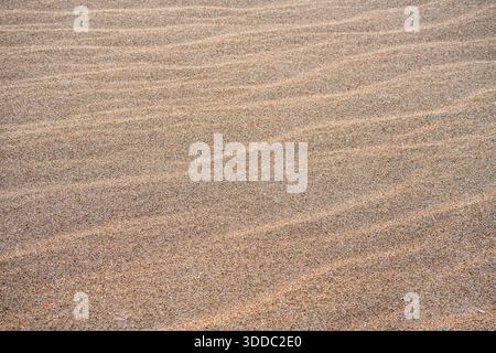 Texture de plage de sable doux avec des motifs ondulés naturels formés par le vent et la brise du rivage de la mer Baltique Banque D'Images