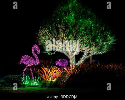 Lumières de Noël. Port : jardin botanique Lucie. Port : Lucie, Floride, États-Unis Banque D'Images