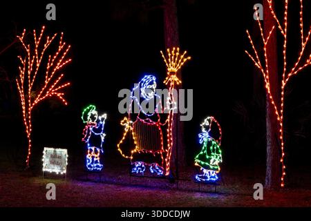 Lumières de Noël. Port : jardin botanique Lucie. Port : Lucie, Floride, États-Unis Banque D'Images
