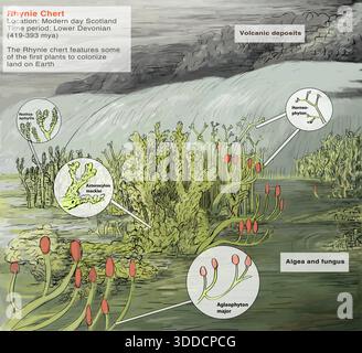 Rhynie Chert Dévonien inférieur, vie végétale préhistorique illustration horizontale Banque D'Images