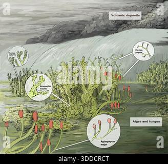 Rhynie Chert Dévonien inférieur, vie végétale préhistorique illustration horizontale Banque D'Images