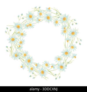 Couronne florale de camomille aquarelle. Banque D'Images