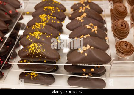 Bonbons au praliné au chocolat faits à la main, qualité hogh sans huile de palme, friandises élégantes et en bouchées avec des revêtements brillants, cacao riche, avec une garniture différente Banque D'Images