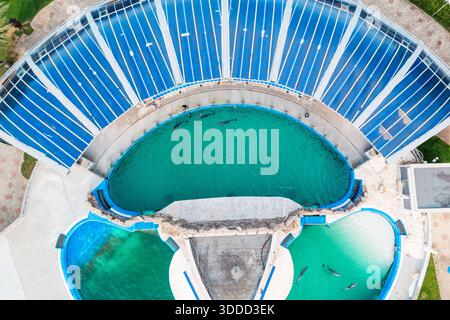 Dauphins nageant dans de grandes piscines dans un stade extérieur, vu d'une vue aérienne. Une arène avec couverture de toit bleue visible Banque D'Images