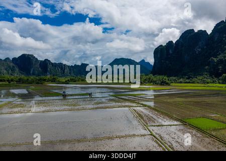 De vastes rizières inondées s'étendent sous les spectaculaires montagnes karstiques calcaires près de Vang Vieng, au Laos. Les reflets sur l'eau et les motifs géométriques des champs sont encadrés par une végétation verdoyante et un ciel dynamique. Banque D'Images