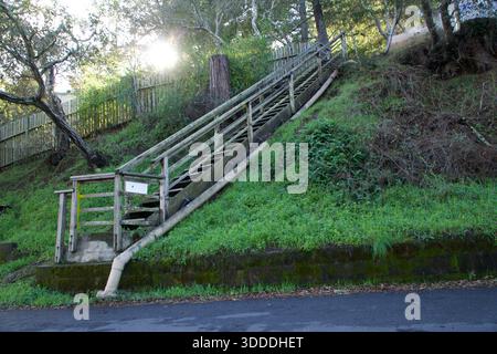 Escalier en bois sur une colline verte en Californie Banque D'Images