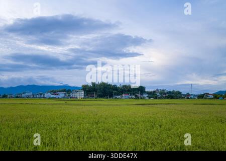 De vastes champs de riz vert s'étendent vers un petit village à l'horizon, avec des maisons dispersées et des arbres encadrés par des montagnes lointaines et un ciel nuageux spectaculaire à Dien bien Phu. La lumière douce du jour met en valeur le paysage luxuriant et l'espace ouvert. Banque D'Images