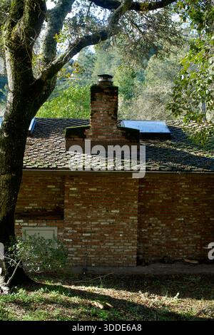 Cheminée en brique sur un toit rustique entouré d'arbres Banque D'Images