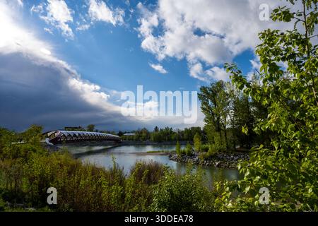 Le pont Peace enjambe la rivière Bow entourée d'arbres verts sous un ciel partiellement nuageux à Calgary. Calgary, Canada - 22 mai 2024 Banque D'Images