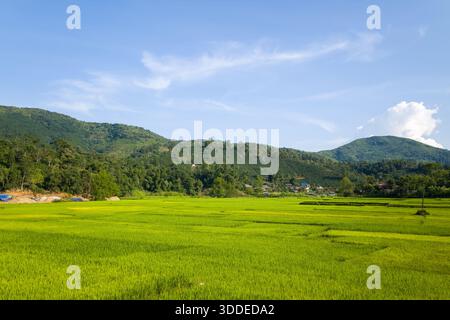 D'immenses rizières vertes s'étendent au premier plan, bordées par une forêt dense et des collines ondulantes sous un ciel bleu clair dans le nord du Vietnam. Le paysage est ensoleillé et tranquille, avec un petit village rural niché au bord des champs. Banque D'Images