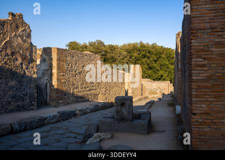 La lumière chaude du soir illumine une étroite rue romaine bordée de murs en pierre et briques altérés dans le site archéologique de Pompéi, en Italie. Les ombres s'étendent sur le trottoir volcanique, tandis que la végétation dense forme une toile de fond naturelle au-delà des ruines. Banque D'Images