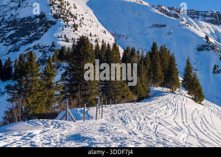 Sentier enneigé avec pistes de ski et de marche, courbe à côté d'un peuplement dense d'arbres à feuilles persistantes, sur les pentes montagneuses enneigées accidentées des Alpes françaises. La lumière du soleil et les ombres nettes créent une atmosphère hivernale vivante. Banque D'Images