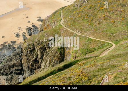 Un chemin étroit courbe le long de falaises herbeuses parsemées de fleurs sauvages, surplombant des rochers accidentés et une plage de sable vide à la plage de la vieille eglise. La lumière du soleil met en valeur les textures naturelles et la verdure vibrante. Banque D'Images