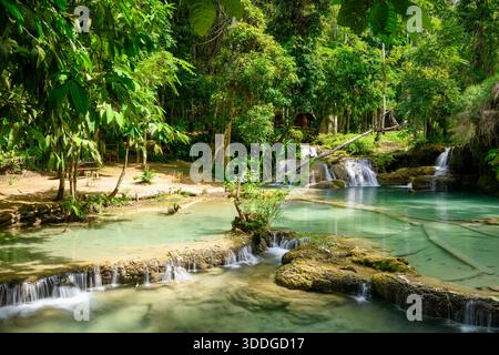 La lumière du soleil illumine l'eau turquoise claire qui coule sur de petits rebords de calcaire, entouré par une forêt verdoyante aux chutes de Kuang si dans le nord du Laos. La scène présente des piscines tranquilles, des textures rocheuses superposées et un feuillage tropical dense dans un cadre naturel serein. Banque D'Images