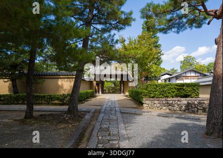 Une promenade tranquille en pierre mène à travers des pins et des haies bien entretenues à une porte traditionnelle en bois au Daitoku-ji Juko-in à Kyoto, avec une lumière douce et une atmosphère paisible de jardin. Banque D'Images