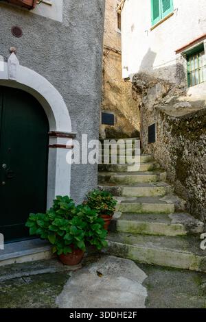 Des marches en pierre altérée se courbent vers le haut entre des murs en stuc texturés et de la roche moussue dans une ruelle tranquille de Maratea. Les plantes vertes en pot et la lumière douce du jour créent une atmosphère paisible et intemporelle. Banque D'Images