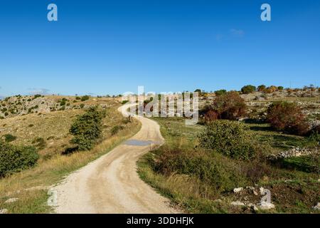 Un chemin de terre sinueux serpente à travers la campagne ouverte avec des arbustes éparpillés et un sol rocheux sous un ciel bleu vibrant près de Matera, en Italie. Banque D'Images