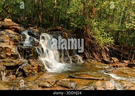 Une douce cascade coule sur des roches sombres dans un bassin peu profond sous la forêt tropicale dense à Tad Tayicsua dans le sud du Laos. La lumière chaude du soleil met en valeur les tons terreux, les racines des arbres exposées et la végétation luxuriante, évoquant une retraite dans la jungle isolée. Banque D'Images