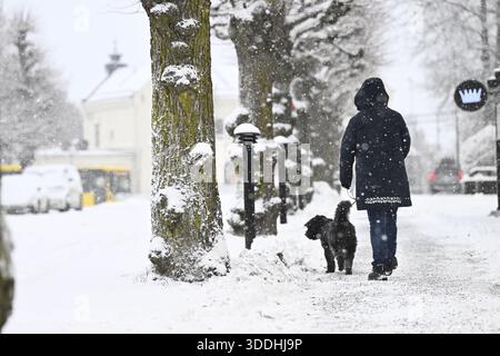 Enköping 20260101 Storm Anna a emménagé à Enköping le jour de l'an avec de fortes chutes de neige.photo : Fredrik Sandberg/TT/Code 10080 ce texte est traduit automatiquement crédit : TT News Agency/Alamy Live News Banque D'Images