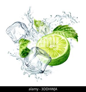 Citron vert frais, feuilles de menthe, glaçons et éclaboussures d'eau cristalline. Illustration aquarelle peinte à la main, isolée sur fond blanc Banque D'Images