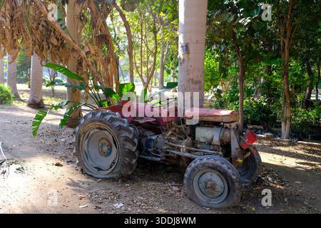 Vieux tracteur rouge garé parmi les arbres dans le jardin d'Orman, Gizeh, Egypte Banque D'Images
