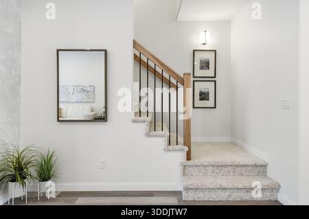 Escalier avec un miroir au-dessus et une plante en pot devant. L'escalier est en bois et le miroir est encadré Banque D'Images
